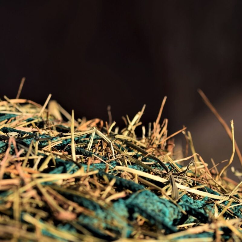 Close up of hay net filled with hay. 