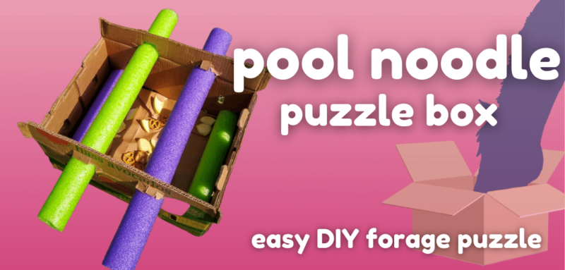 Hero image with pink background and white text. Text reads Pool Noodle Puzzle Box: Easy DIY Forage Puzzle. On left, image of pool noodle puzzle box. On right, horse with head in box.