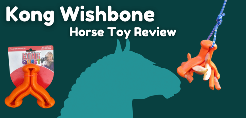 Hero Image, dark green background with white text. To left, picture of Kong Quest Wishbone in packaging. Center, silhouette in profile of draft horse face approaching treat filled Kong Quest Wishbone on right. Text reads, Kong Wishbone Horse Toy Review