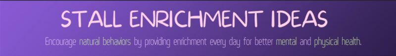 Purple infographic banner reading Stall Enrichment Ideas: Encourage natural behaviors by providing enrichment every day for better mental and physical health. 