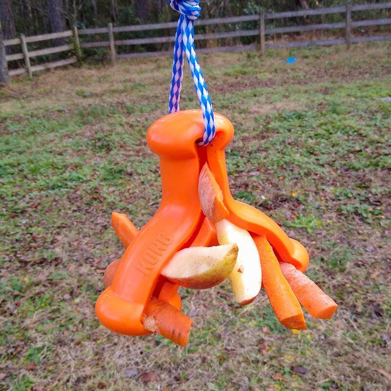 A Kong Quest Wishbone horse toy hanging from string with apple and carrot wedges 