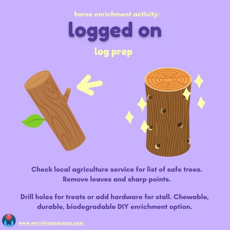 Lavender infographic shows two logs. On left, log with leaf and sharp branch end. On right, clean log with holes for treats.  Deep purple and yellow text reads: Horse enrichment activity: logged on. Log Prep: Check local agricultural service for list of safe trees. Remove leaves and sharp points. Drill holes for treats or add hardware for stall. Chewable, durable, biodegradable DIY enrichment option. www.enrichingequines.com