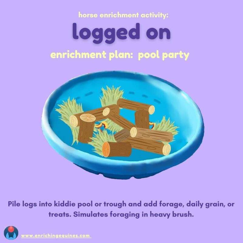 Lavender infographic shows kiddie pool filled with short logs, hay, and horse treats. Yellow and purple text reads, horse enrichment activity: logged on. Enrichment plan: pool party. Pile logs into kiddie pool or trough and add forage, daily grain, or treats. Simulates foraging in heavy brush. www.enrichingequines.com