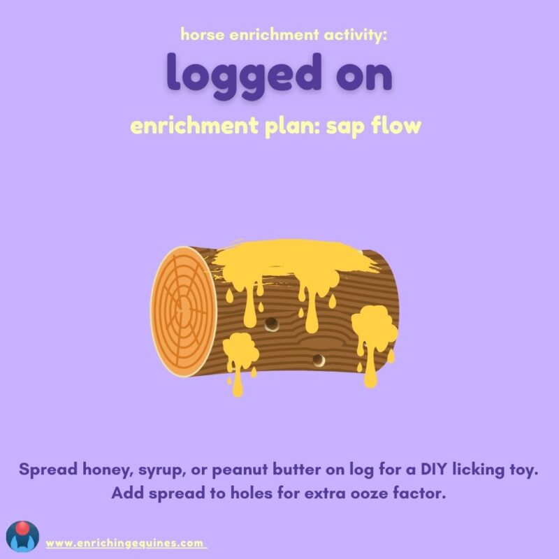 Lavender infographic shows log covered in yellow sticky material such as honey. Purple and yellow text reads, Horse enrichment activity: logged on. Enrichment plan: sap flow. Spread honey, syrup, or peanut butter on log for a DIY licking toy. Add spread to holes for extra ooze factor.  www.enrichingequines.com