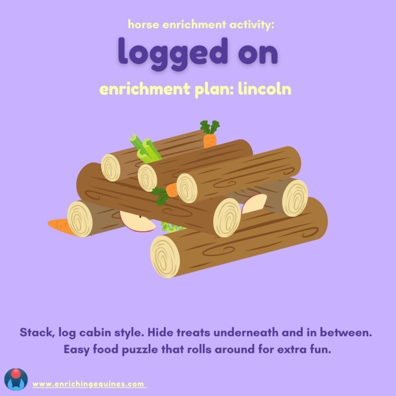 Lavender infographic shows horse log toy with mixed treats. Text reads, Horse enrichment activity: logged on. Enrichment plan: lincoln. Stack, log cabin style. Hide treats underneath and in between. Easy food puzzle that rolls around for extra fun.