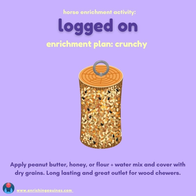 lavender infographic shows horse log toy with dry crunchy material on sides. Text reads: horse enrichment activity: logged on. Enrichment plan: crunchy. Apply peanut butter, honey, or flour water mix and cover with dry grains. Long lasting and great outlet for wood chewers.