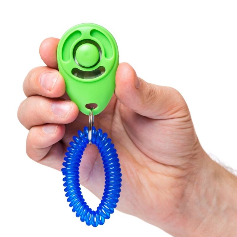 A horse training clicker for positive reinforcement equestrians.