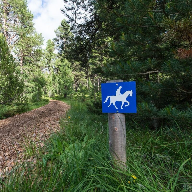 Equestrian trail with sign indicating horse and rider. 