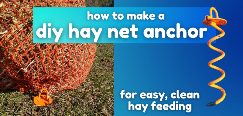Hero image on blue background. On left, picture of hay net attached to anchor. White text reads, How to Make a DIY Hay Net Anchor for clean, easy hay feeding. 