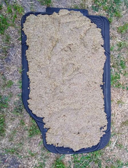 Horse licking mat with feed paste 