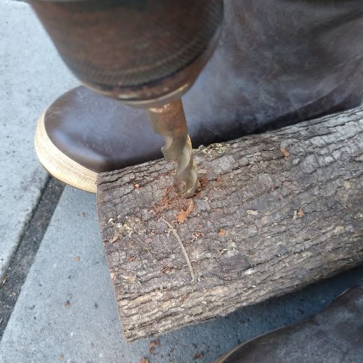 Close up of drill making hole in pecan log. 