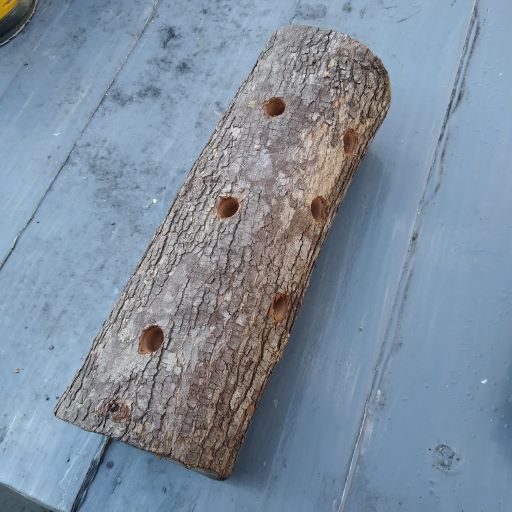 DIY treat log toy for horses without food, showing holes in surface of log, on gray background. 