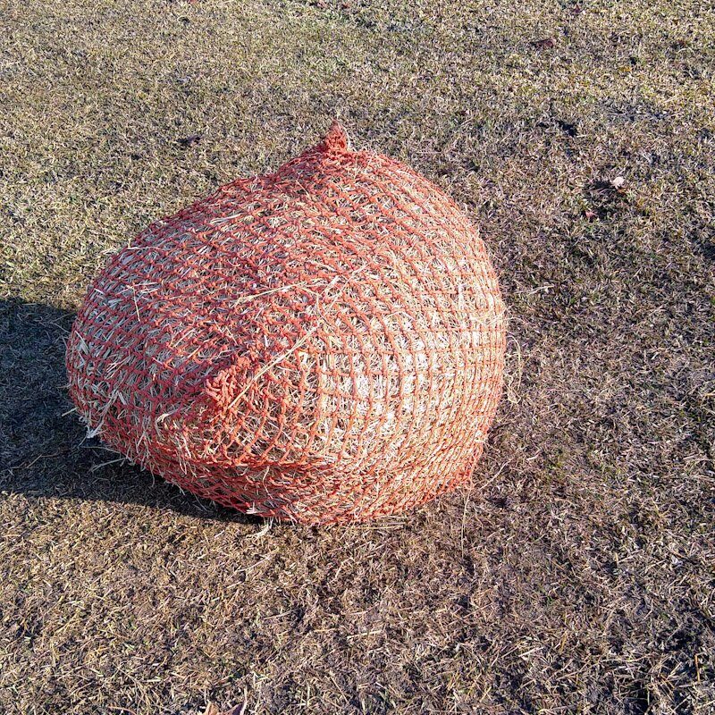 A hay net for horses anchored to the ground using a DIY hay net anchor.