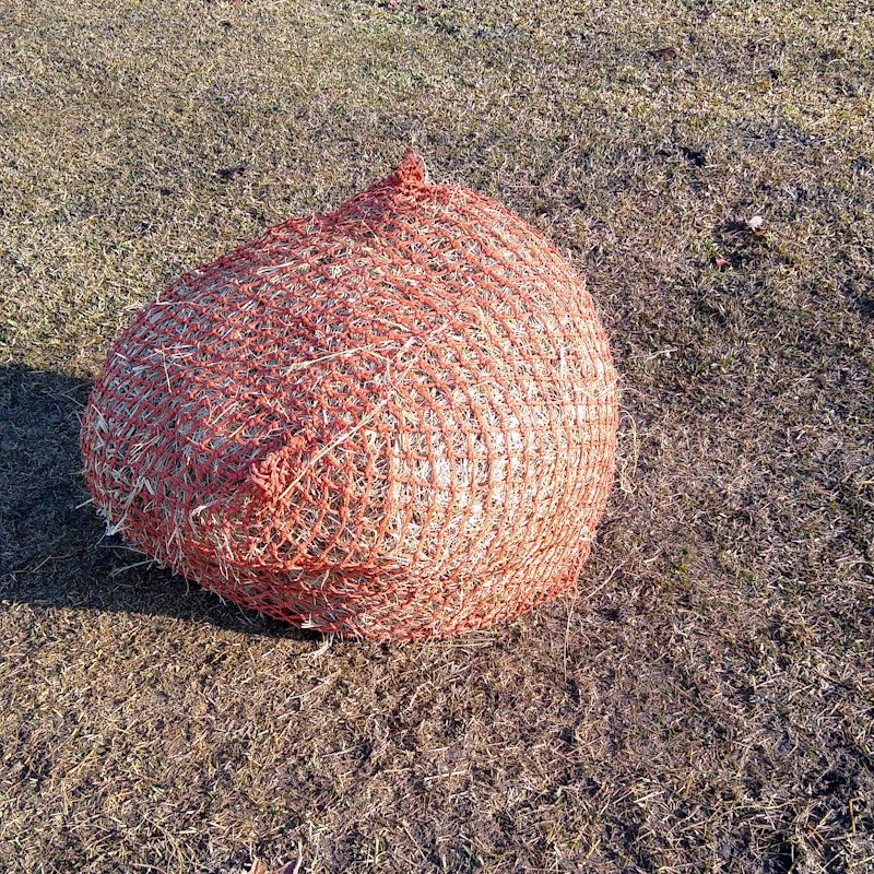 DIY Hay Net Anchor for Horses: Easy, Natural Feeding - Enriching Equines