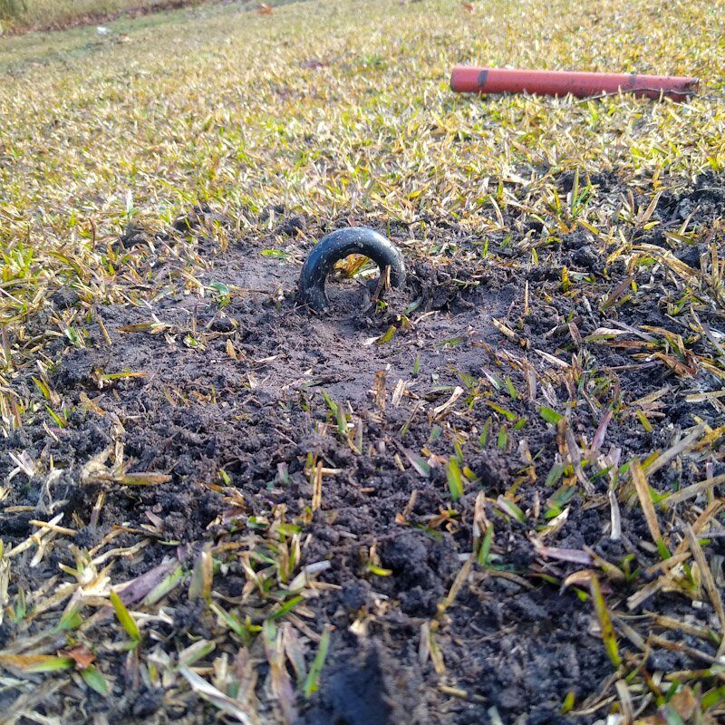 Photo of top portion of DIY hay net anchor ring emerging from soil.
