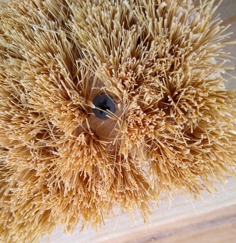 Close up of scrub brush bristles showing screw safely installed into horse scratching board 