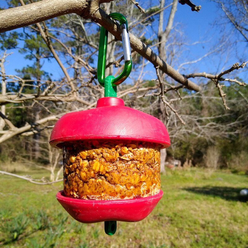 A Stall Snack toy for horses with DIY Stall Snack refill hanging by a clip.