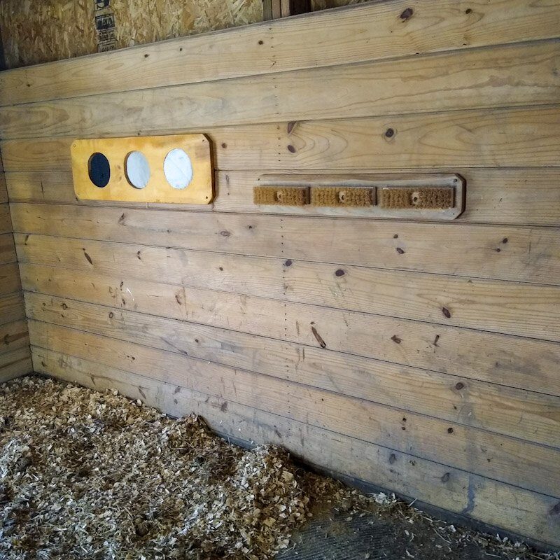 Two DIY enrichment boards inside a horse stall mounted on wall. On left, scent board. On right, scratching board.