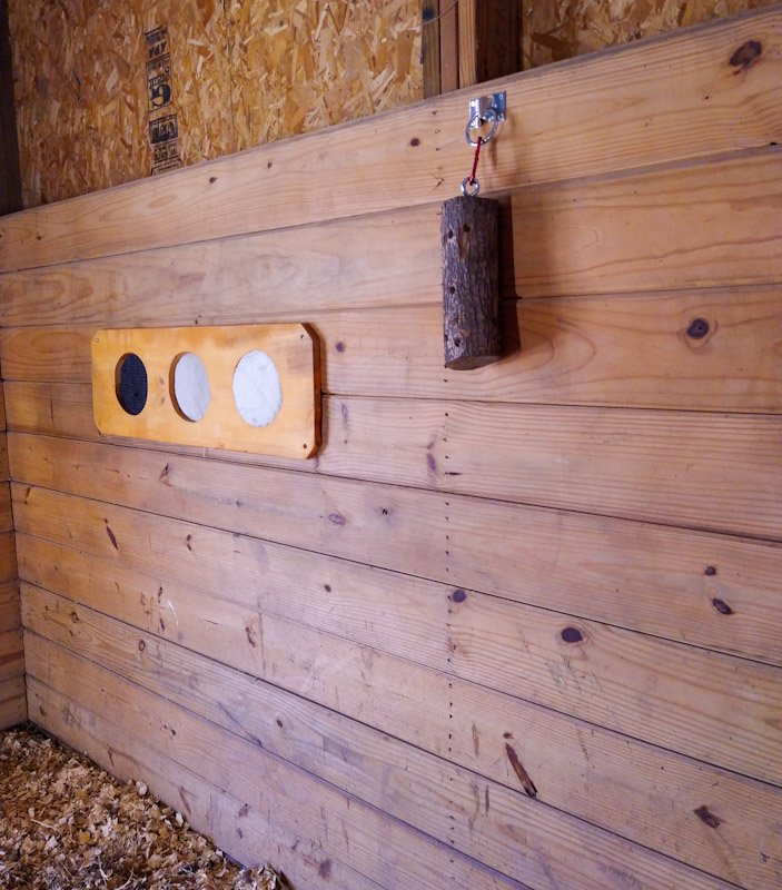 A horse stall showing log enrichment and scent board.