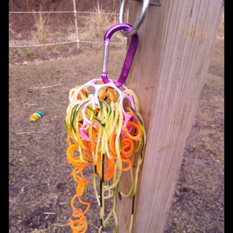 The DIY hanging toy for horses treat noodle ball clipped onto a 4 by 4 wooden post, showing veggie noodles.