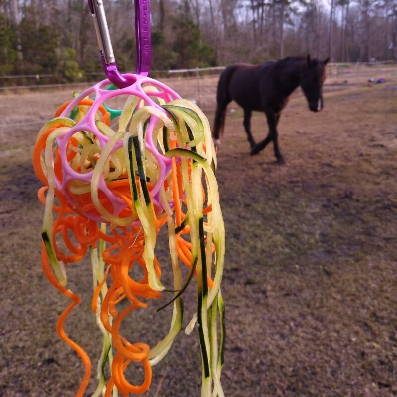 DIY horse toy hanging noodle ball in foreground as a black horse approaches in background.