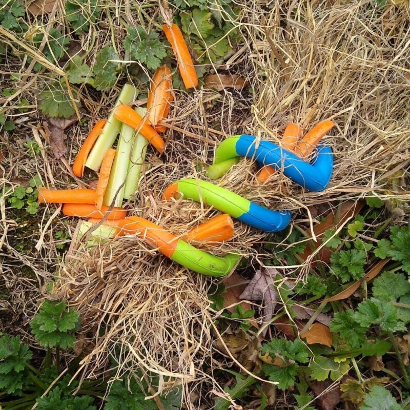 A JW Pets spiral rubber dog toy filled with hay, carrots, and celery