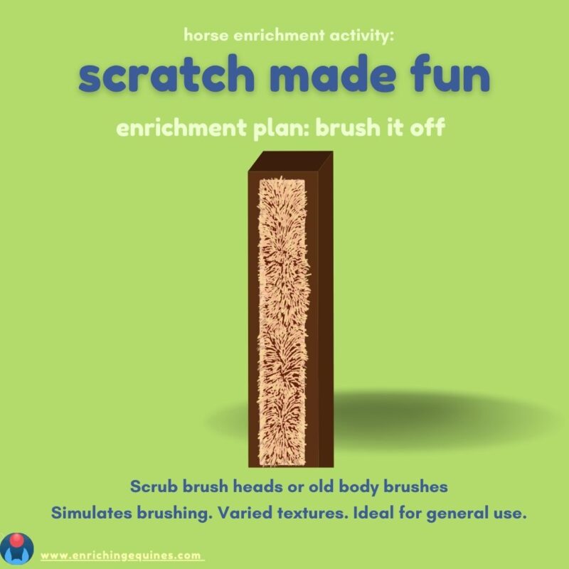 Infographic on green background with blue and light green text. Text reads: horse enrichment activity: scratch made fun. Enrichment plan: brush it off. Scrub brush heads or old body brushes. Simulates brushing. Varied textures. ideal for general use. 