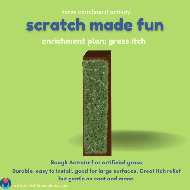 Infographic on green background with dark blue and light green text. Text reads: horse enrichment activity: scratch made fun. Enrichment plan: grass itch. Rough astroturf or artificial grass. Durable, easy to install, good for large surfaces. Great itch relief but gentle on coat and mane. Image shows DIY horse scratching post made of green astroturf. 