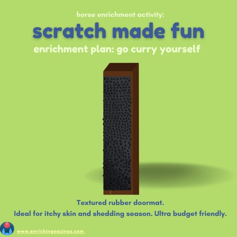 Infographic on green background with dark blue and light green text. Text reads: horse enrichment activity: scratch made fun. Enrichment plan: go curry yourself. Textured rubber doormat. Ideal for itchy skin and shedding season. Ultra budget friendly. Image shows horse scratching post made of rubber. 