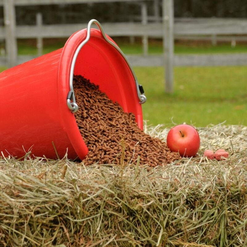 A bucket of horse treats spills onto a hay bale next to an apple and some carrots.