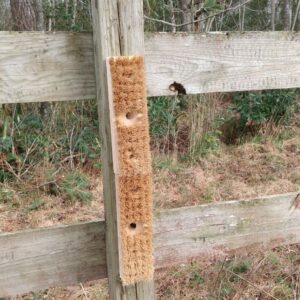 A DIY horse scratching post made of a deck brush on a wooden post.