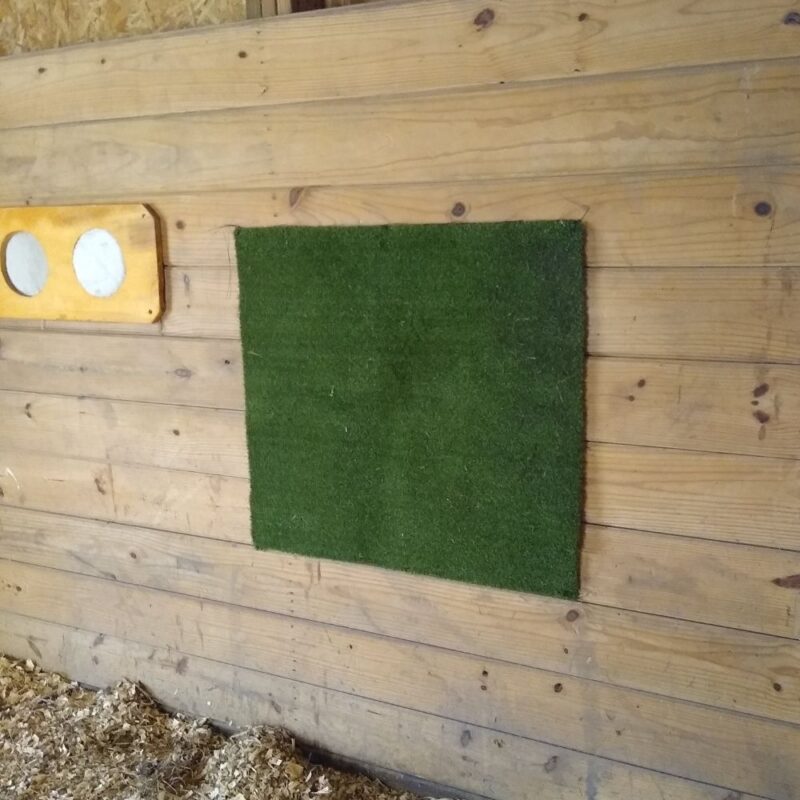 Horse scratching pad on a stall wall. 