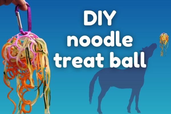 Blue hero image shows DIY hanging stall toy treat noodle ball for horses made from baby toy Bright Starts oball with carrot noodles, zucchini noodles, cucumber noodles. To right, silhouette of horse looks up at small image of DIY noodle treat ball for horses. Text in white reads: DIY Noodle Treat Ball