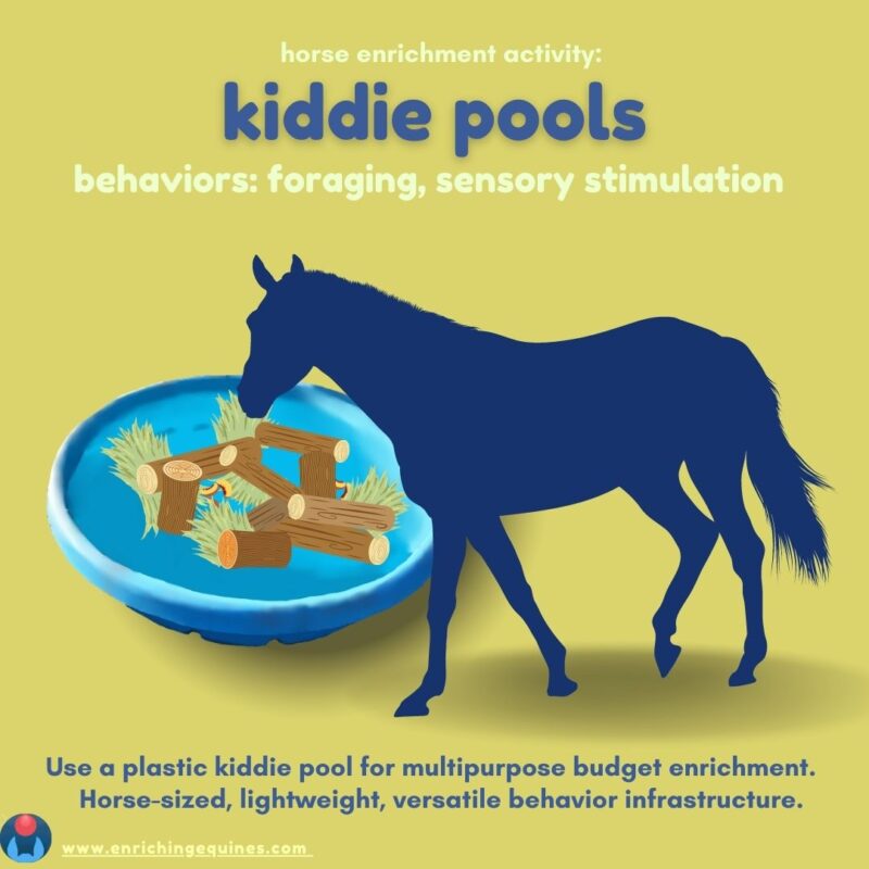 Infographic image shows kiddie pool for horse enrichment. Text reads: Behaviors: Foraging, sensory stimulation. 