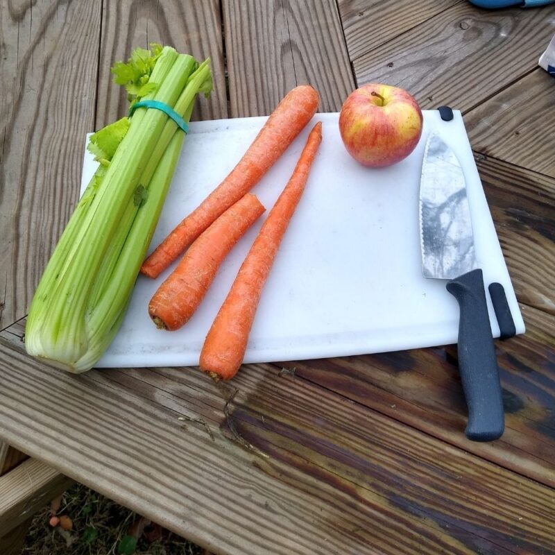 Cutting board with celery, carrot, and apple with knife.