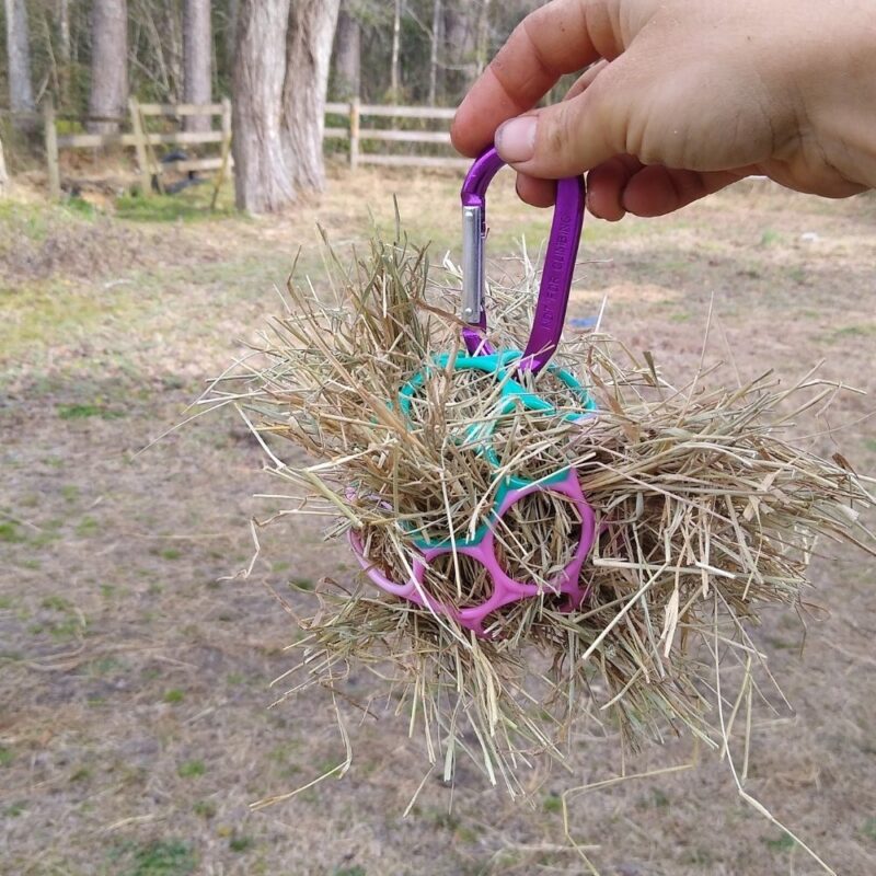 DIY Veggie treat ball for horses held in hand, halfway finished with hay sticking out everywhere