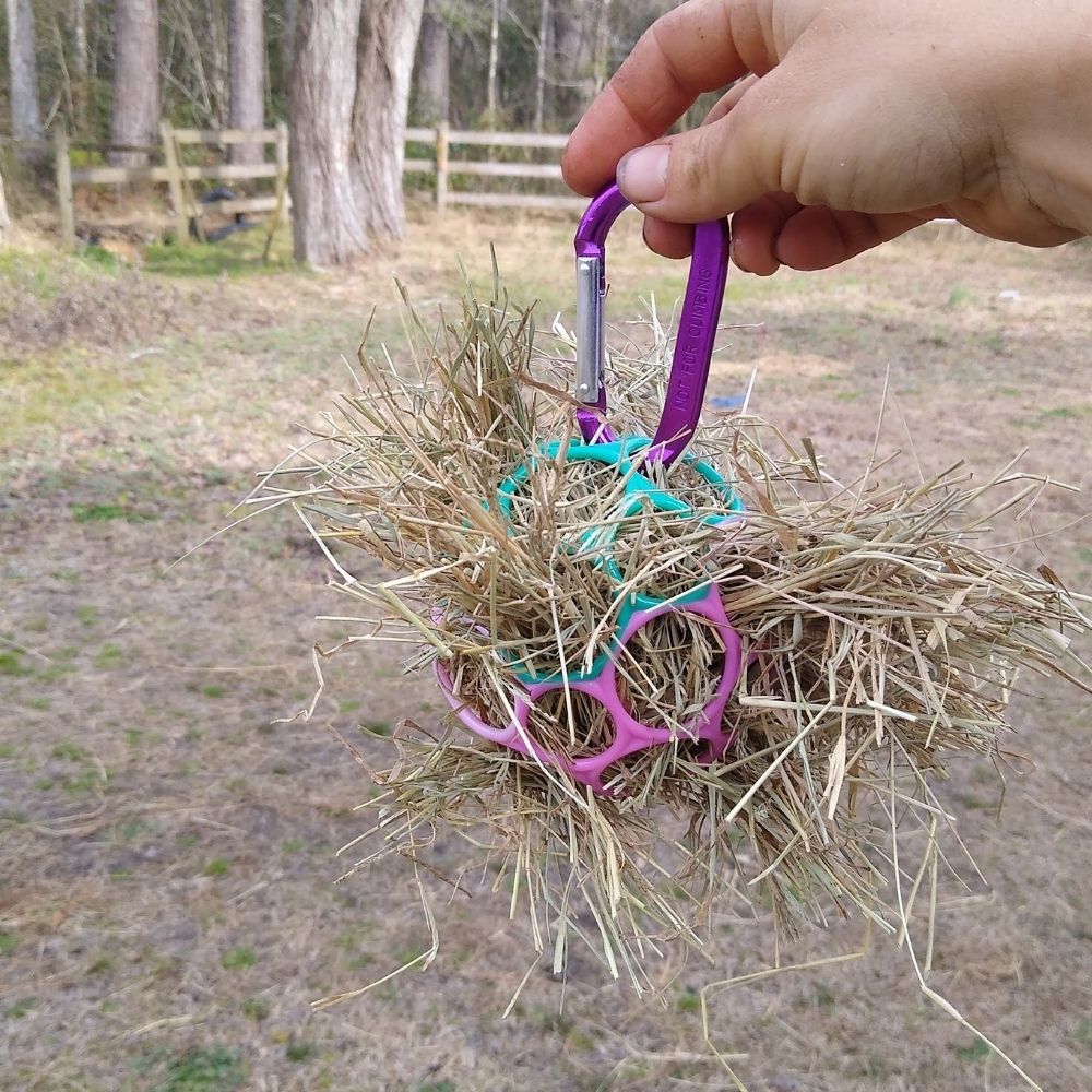 DIY Veggie Treat Ball for Horses Instructions Enriching Equines