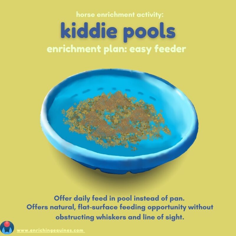 Infographic image with dark blue text on yellow background. Image shows kiddie pool with horse feed. 