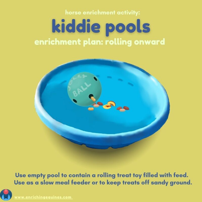 Image shows kiddie pools for horse enrichment with a rolling Jolly Ball toy dispensing treats into the pool. 