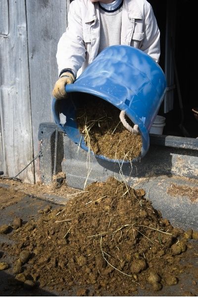 A person pours out a blue bucket of manure and soiled horse bedding