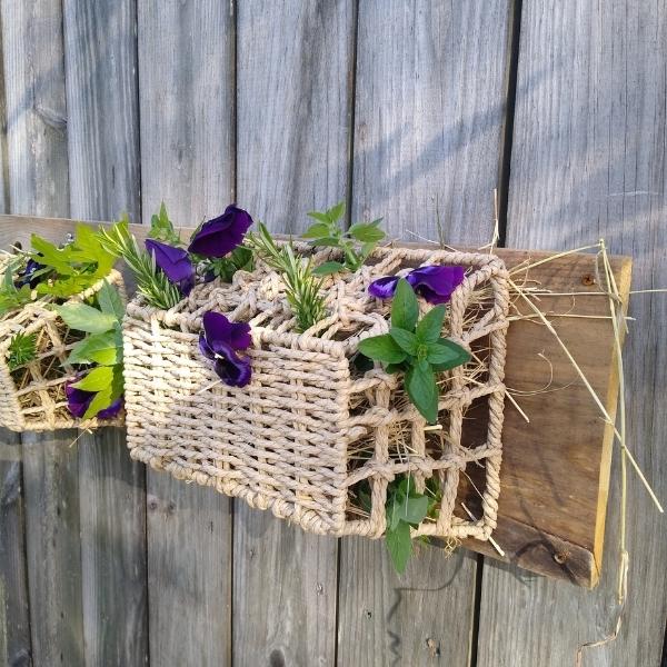 Close up of DIY horse forage basket showing colorful purple pansies and fresh spearmint.