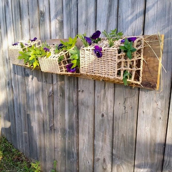 DIY forage baskets horse enrichment board mounted on fence wall showing edible flowers and herbs.