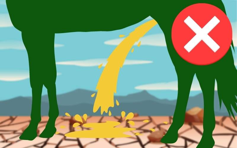 A green horse silhouette appears to urinate on dry cracked ground, showing cartoon urine splash.