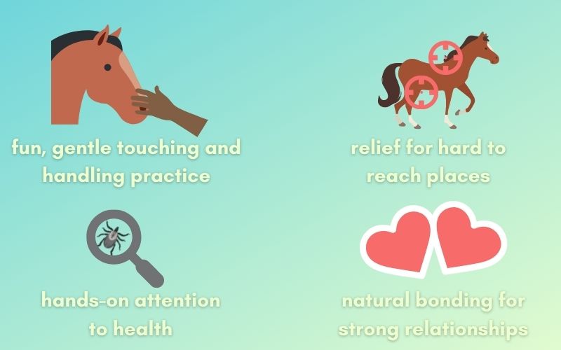 Image shows how to scratch your horse for various benefits. Text reads: fun, gentle touching and handling practice. Relief for hard to reach places. Hands on attention to health. Natural bonding for strong relationships.
