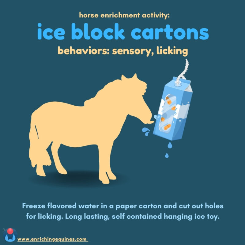 Infographic image on dark teal background with pale cream mini horse silhouette licking a carton ice block toy. Text reads: Ice block cartons horse enrichment activity. Behaviors: sensory, licking. 