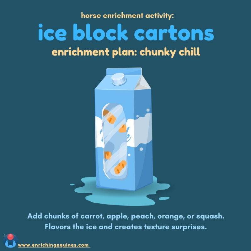 Ice block carton for horses featuring chunks of carrot frozen in ice.