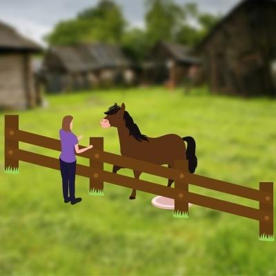 Protected contact training for horses with a cartoon of a woman in purple shirt standing on the other side of a fence from a bay horse who is lifting one front leg.