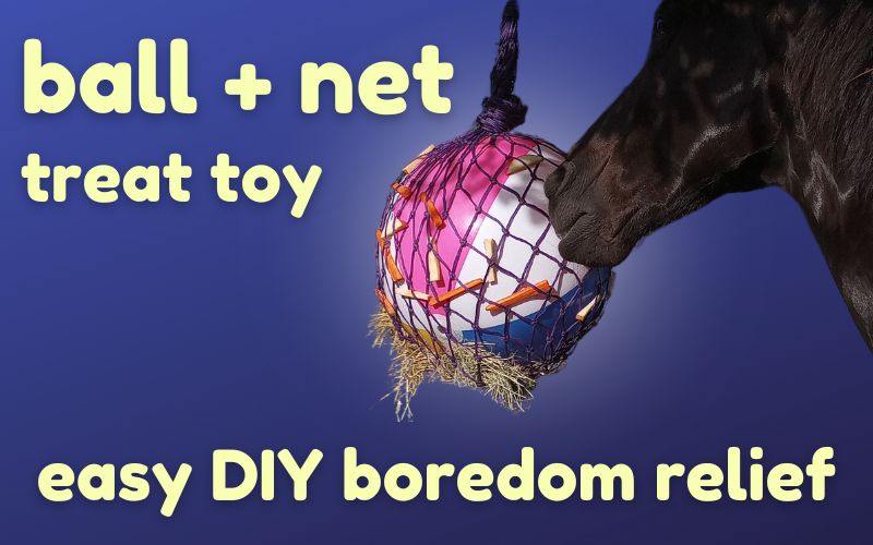Header image shows black gelding playing with stable enrichment item made from beach ball and hay net with treats. Yellow text on blue background reads: ball + net treat toy. Easy DIY boredom relief