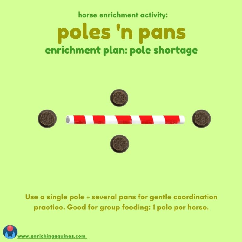 A square image with green background shows a single ground pole for horses surrounded by four feed pans. Text reads: Horse enrichment activity: poles 'n pans. Enrichment plan: pole shortage. Beneath image, more text: Use a single pole + several pans for gentle coordination practice. 