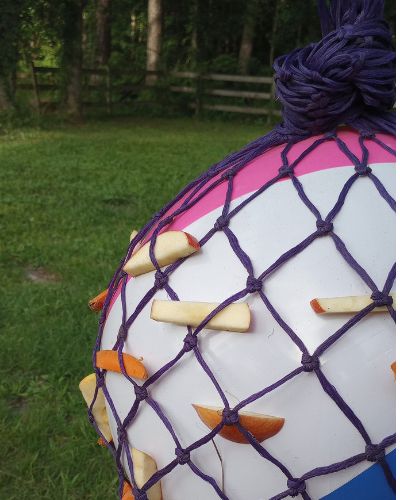 Close up of beach ball horse treat toy showing hay net with apple and carrot sticks.
